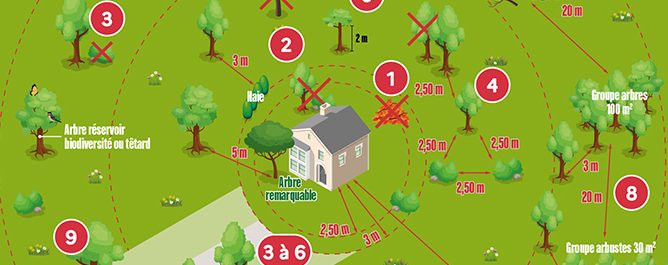 Les Obligations Légales de Débrouissaillement