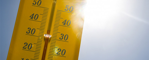 Plan Canicule : Restons vigilants !
