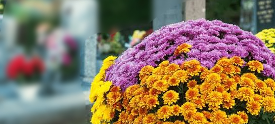 CIMETIÈRE